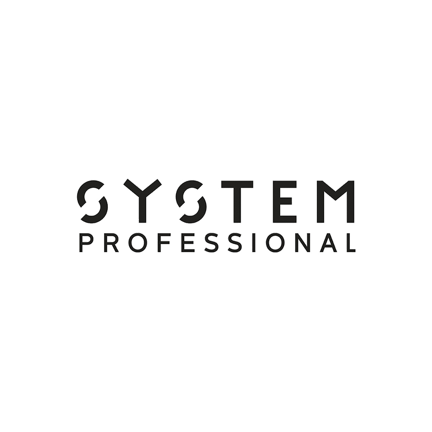 SYTSEM PROFESSIONAL